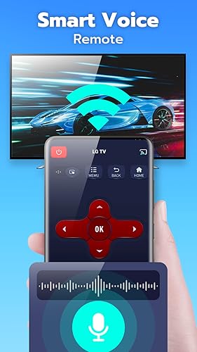 Universal TV Remote Control