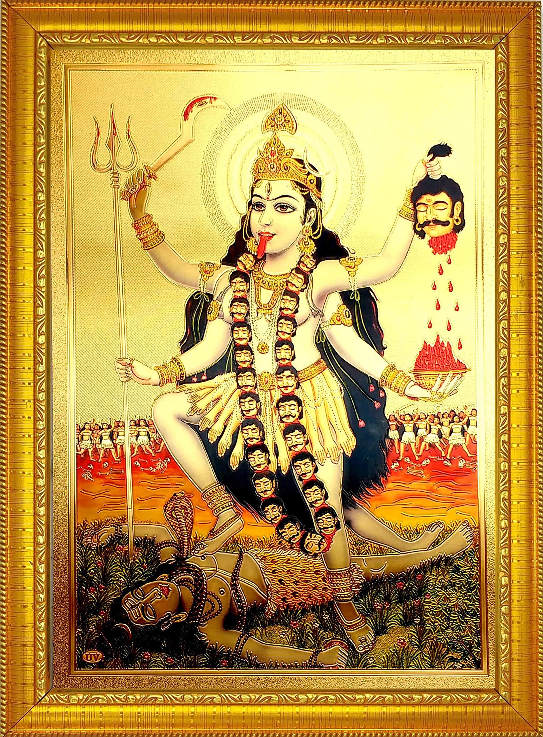 ADA Handicraft Aluminum Plated Wood Photo Frame (35 x 26 x 1 cm, Multicolour)