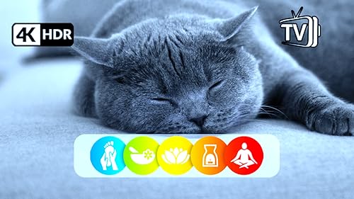 Relaxing Lullaby for Cat and Kitten On Fire TV | NO ADS