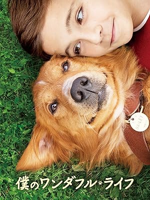 僕のワンダフル・ライフ (字幕版)