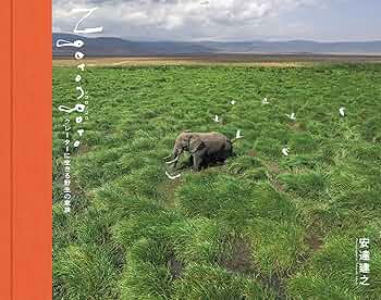 NGORONGORO (ンゴロンゴロ) ラインハルト 　アフリカ　写真集　洋書 Amazon | 【希少】NGORONGORO (ンゴロンゴロ) ラインハルト