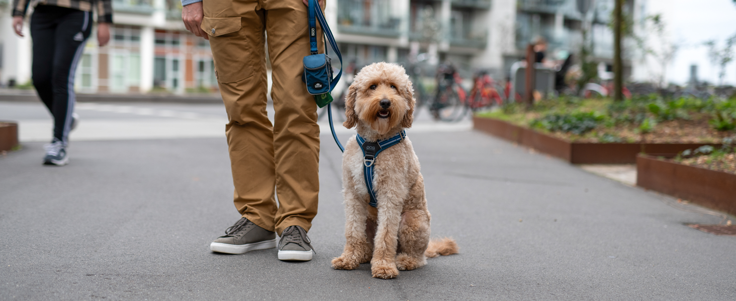 DOG Copenhagen Comfort Walk Air 3.0 Hundegeschirr – Leichtes, Atmungsaktives Alltagsgeschirr Für Hunde, Verstellbar, Mit Reflektierenden Elementen