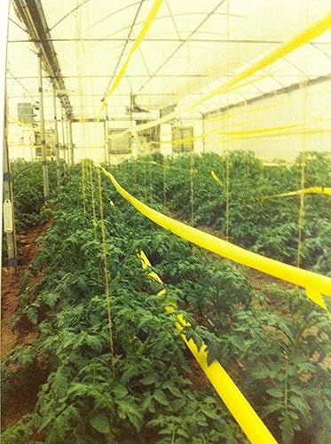 Miniatura 4 de Olson Garden Guard - Cinta adhesiva de 2 pulgadas de ancho por 100 pies, color amarillo, no tóxica