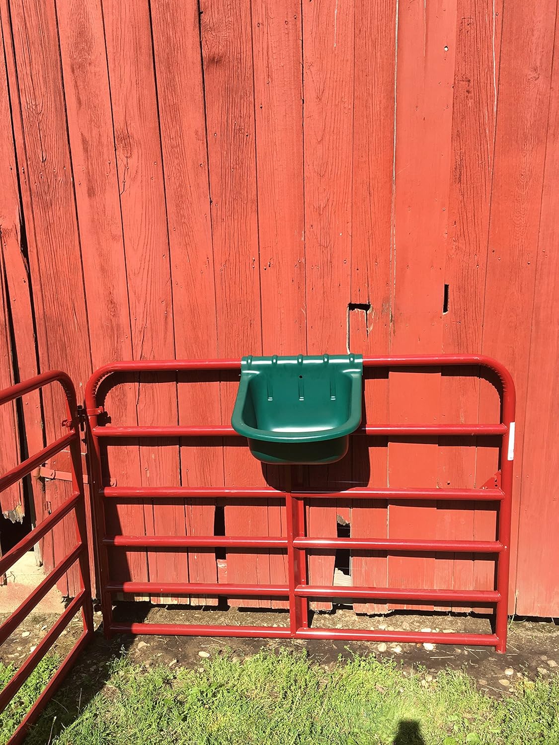 6 Gallon Hanging Gate Feeder (Green)
