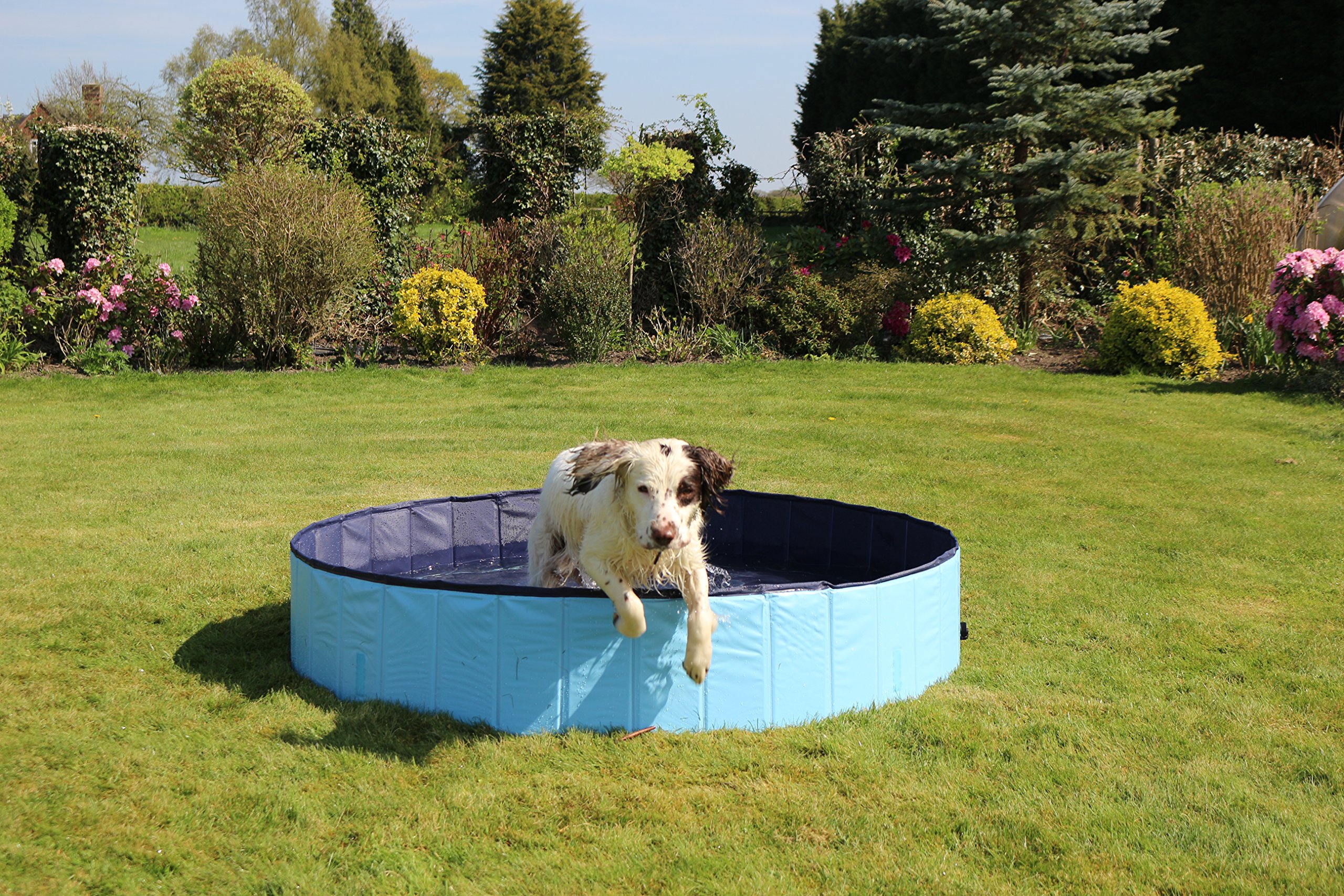 How Do You Keep A Dog Pool Clean