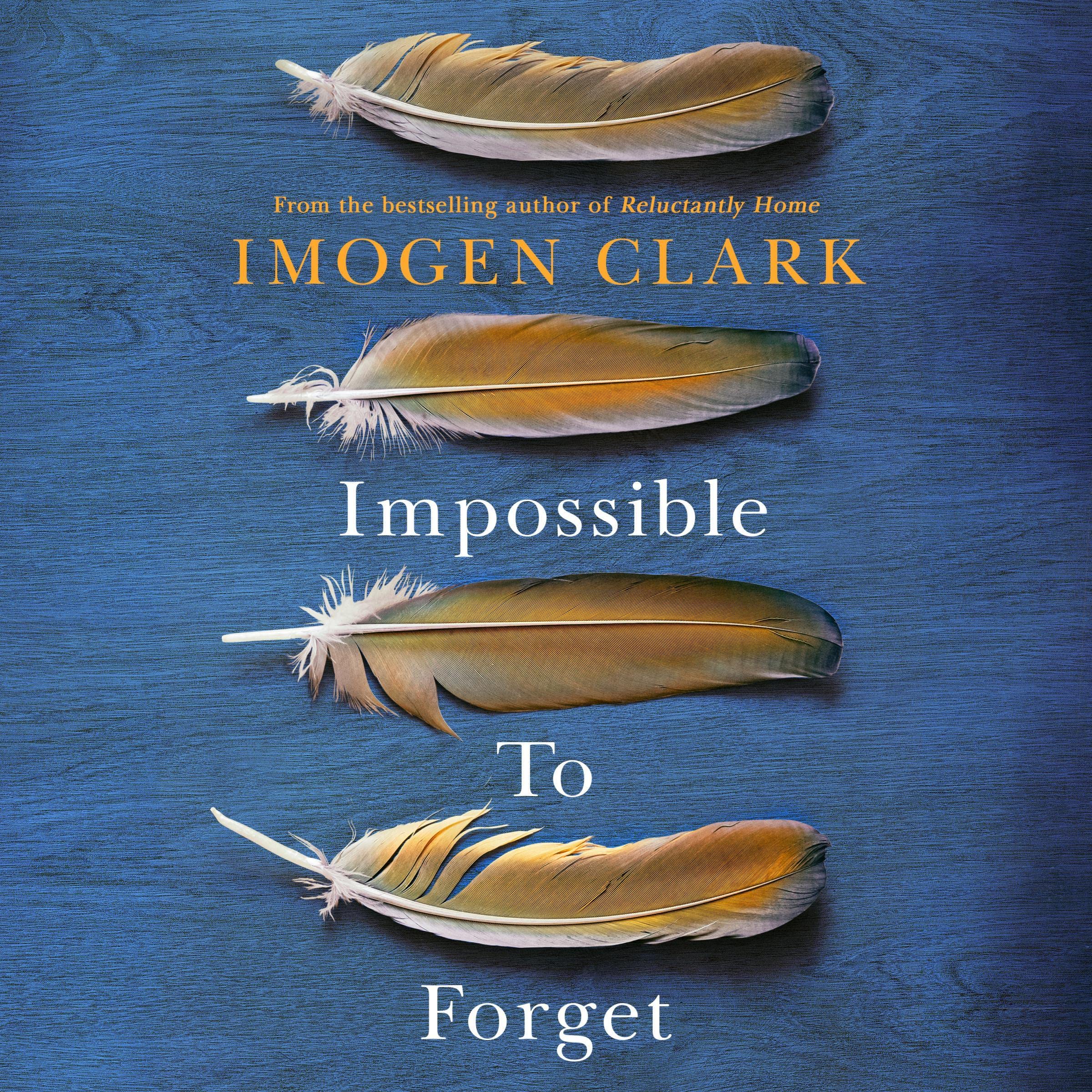 Cover art for Impossible To Forget