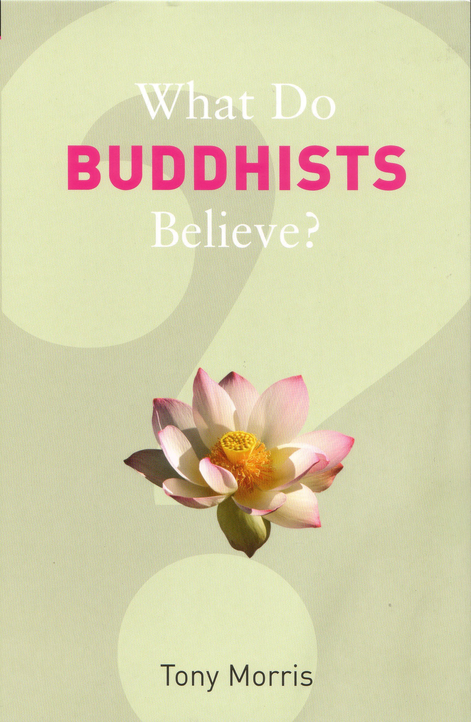 What Do Buddhists Believe? (What Do We Believe)