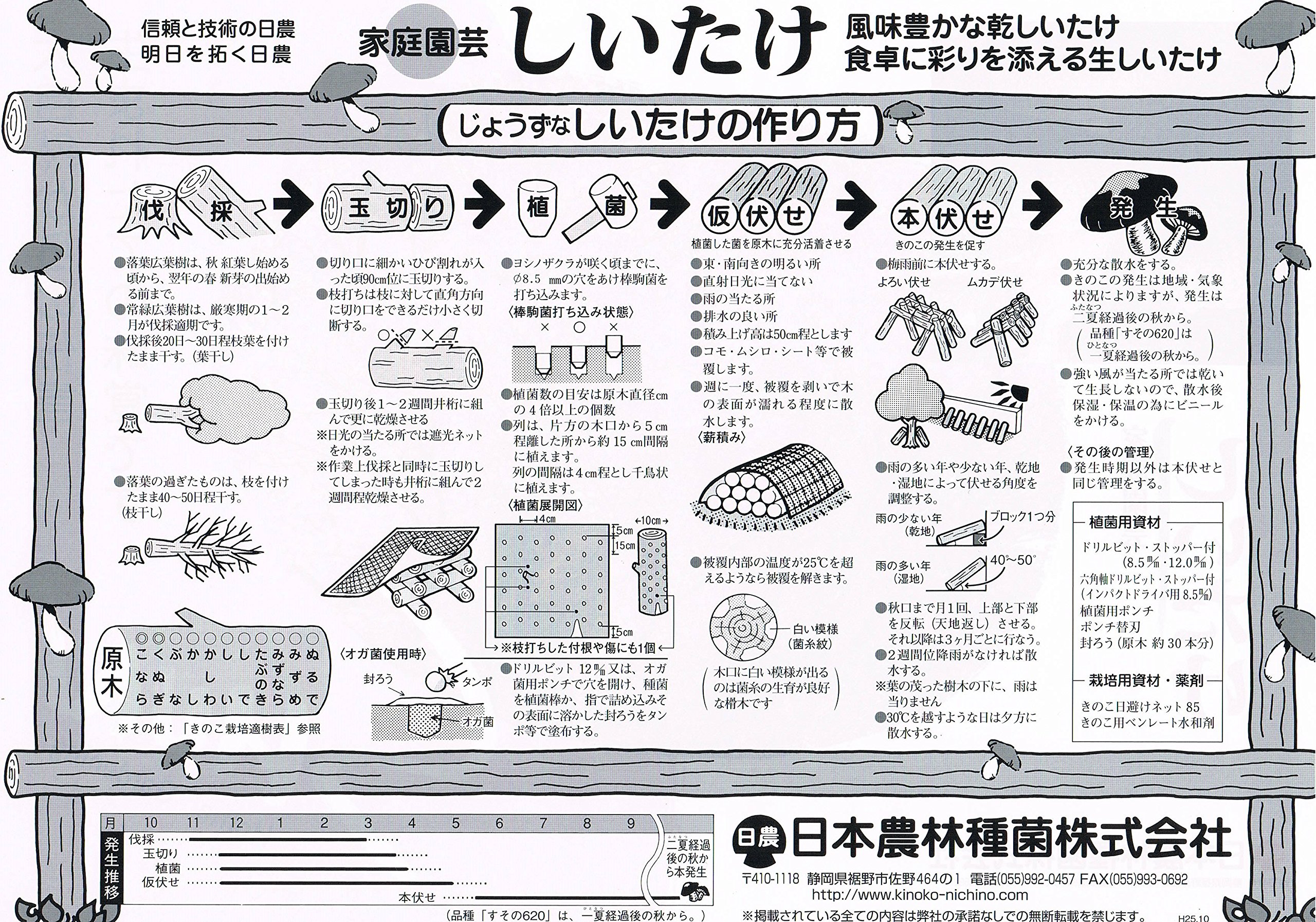 Amazon | しいたけ 種駒すその620号（棒型） 500個入り｜従来品種より