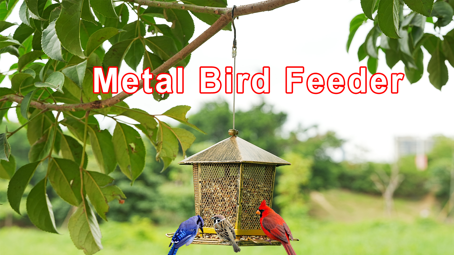 バード　フェスティブキャッチャー イッタラ バード Festive Catcher