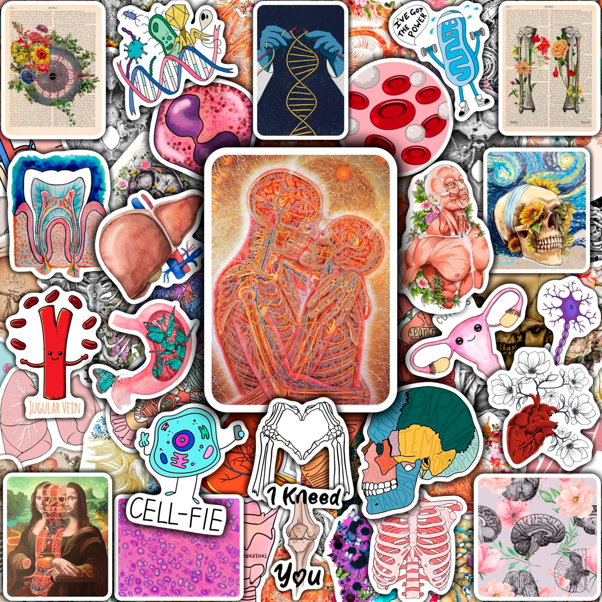 100Pcs Anatomy Stickers, Waterproof Human Body Vinyl Decals