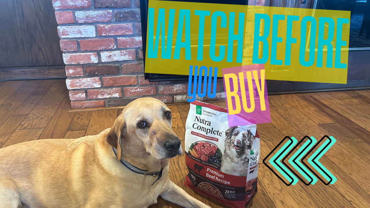 best merrick brand dog food for sensitive stomachs Merrick Grain-Free Dry Dog Food