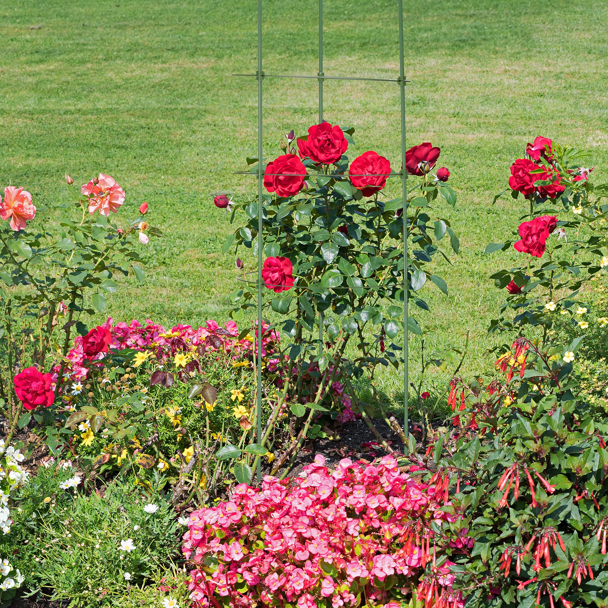 Relaxdays podpórka do roślin i kwiatów 90 cm, pergola pierścieniowa do pomidorów, 8 szt. drabinka, podpora, zielona