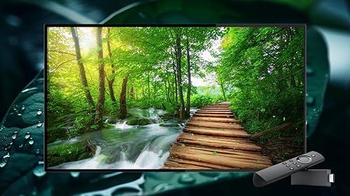 Zenful Green Oasis - vídeos relaxantes e sons pacíficos para uma tranquilidade eterna na Fire TV e T
