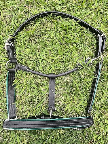 Miniatura 8 de Leaders - Cabestro de cuero para caballos con placa de nombre grabada personalizada, cabestro para caballo con ribete de cuero