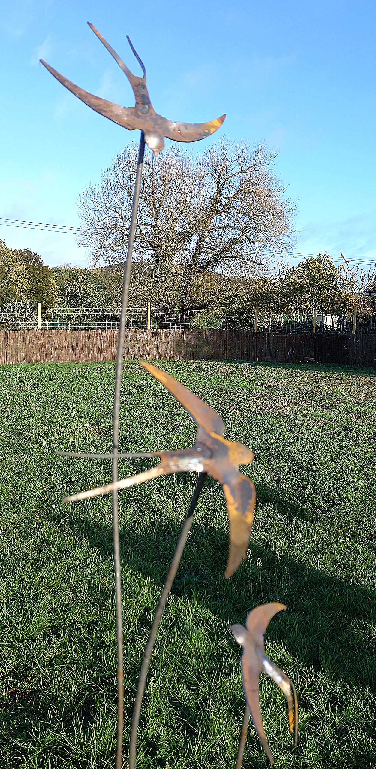 150cm Decorative Swallows Border Stake in sturdy metal - Perfect for a Plant Support and a Decorative Ornament for your Garden!