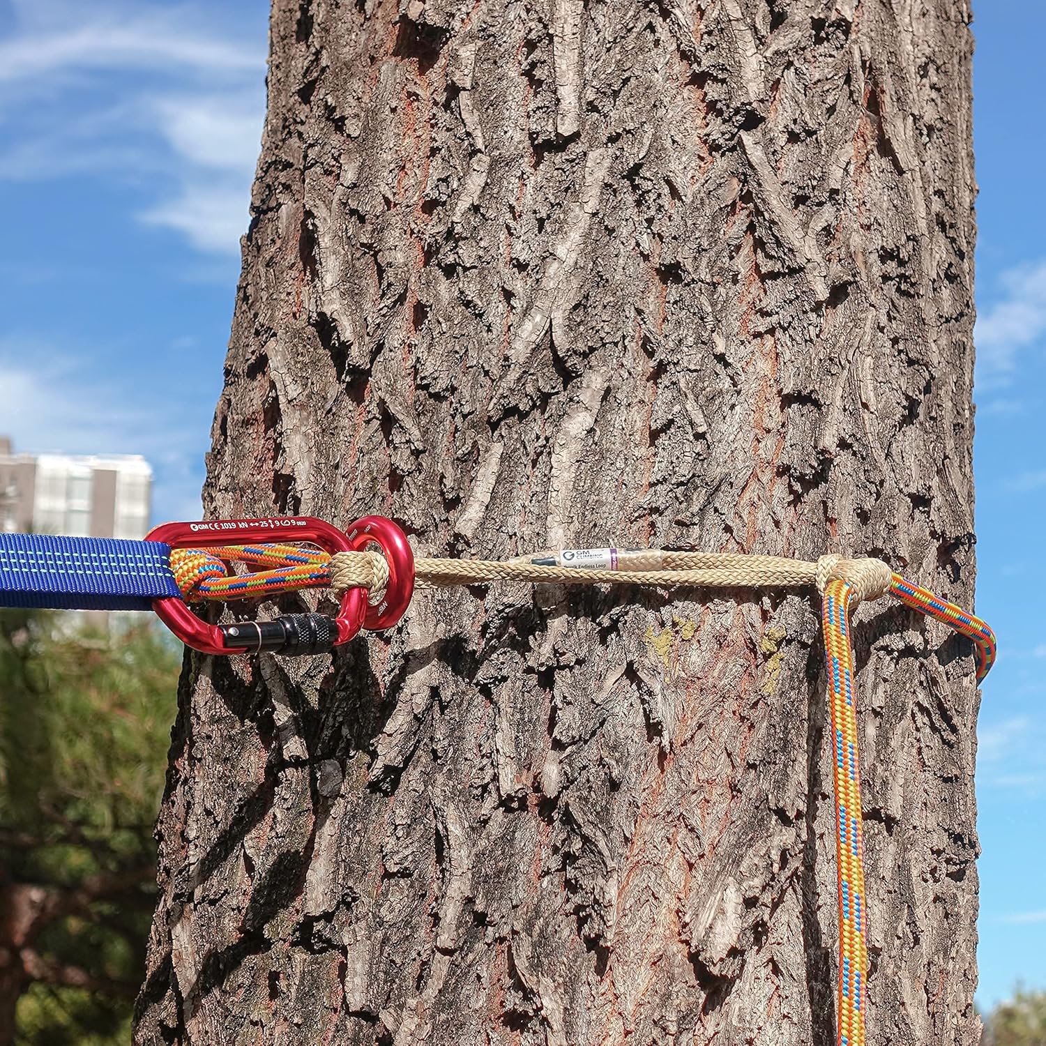 GM CLIMBING 2-Pack 8mm 18-inch Prusik Loop Bundle 6.8mm 15-inch Endless Prusik Loop 100% Technora : Sports & Outdoors