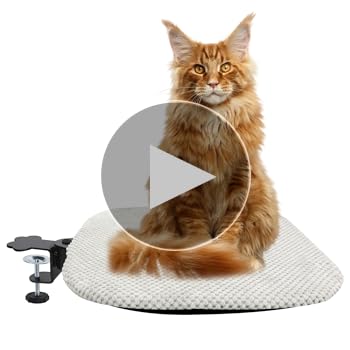 デスク用卓上猫ベッド 高さ調節可 360°回転 スペース節約 テーブル 机 ねこ 楽天市場】猫用 ペットベッド 机の上専用 デスク用 浮遊型猫