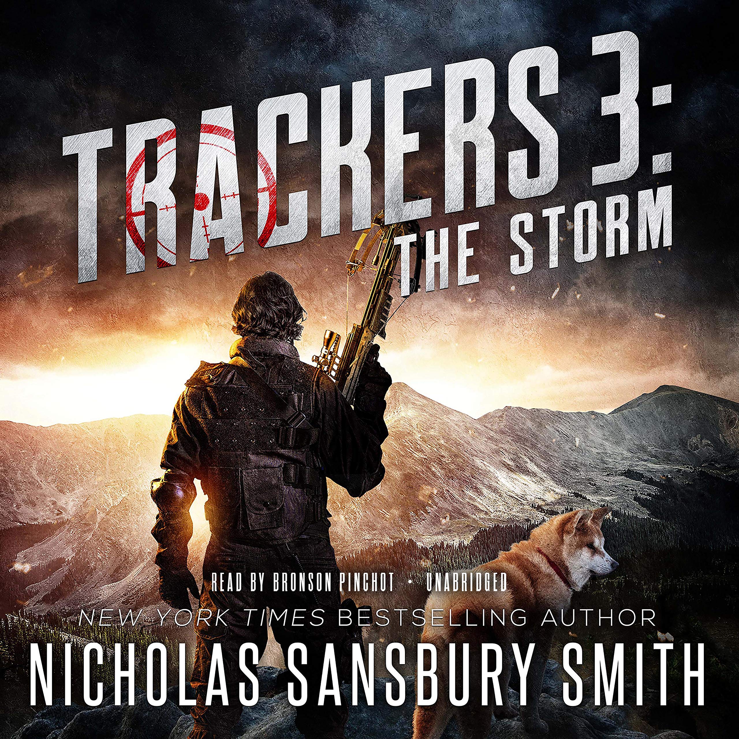 Cover art for Trackers 3: The Storm