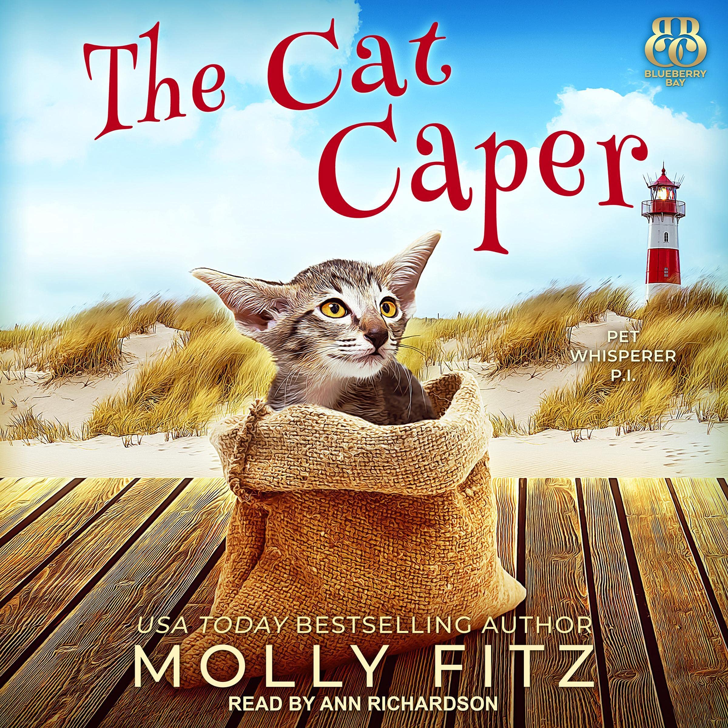 Cover art for The Cat Caper