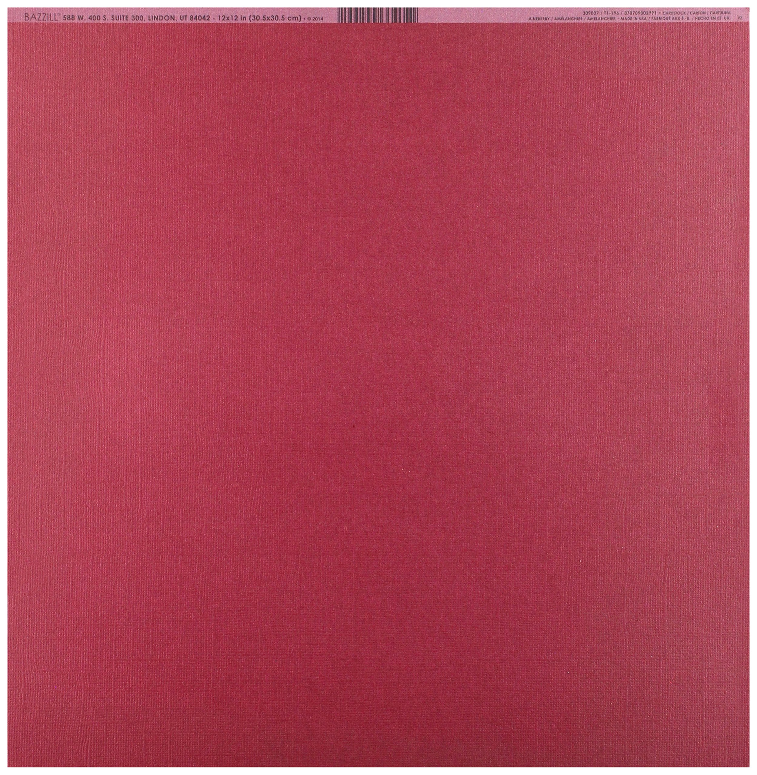 BazzillBasics Paper Bazzill Cdstk 12x12 Mono Juneberry