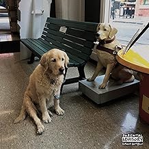 Good Morning - The Option