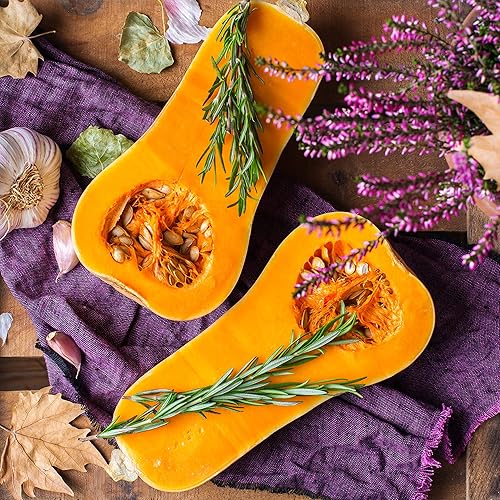 Miniatura 6 de The Old Farmer's Almanac Heirloom Winter Squash Seeds (Waltham Butternut) - Aproximadamente 40 semillas - Sin OMG, polinizado abierto, origen