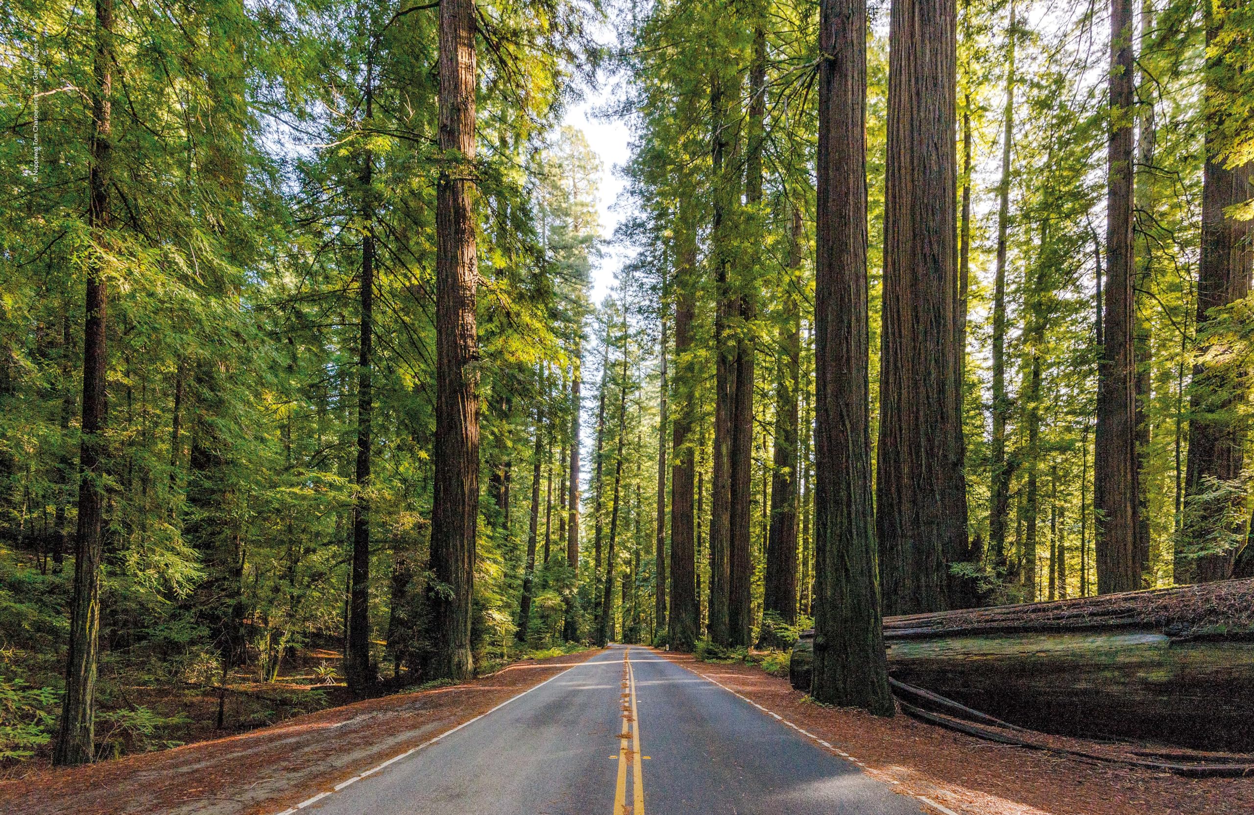 Lonely Planet The Joy of Quiet Places: 60 travel experiences to uplift and inspire: The World's Most Serene & Peaceful Spaces | 180 Ideas for Tranquil ... on Where & When to Go | Stunning Photography