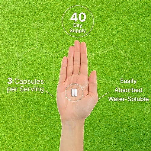 Miniatura 5 de Citicoline CDP Colina, 1,000 mg por porción, 120 cápsulas  Suplementos de colina extra fuerte  Propiedades de la vitamina B nootrópicas  Promueve la