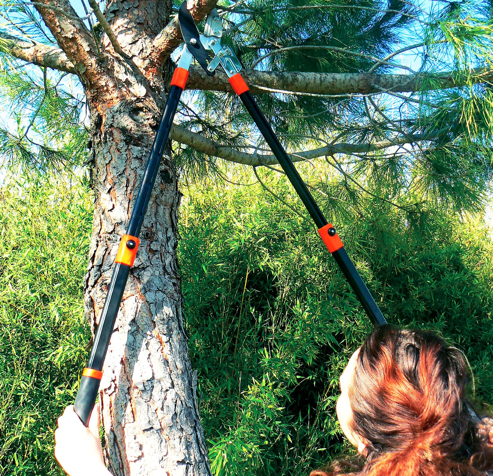 Coupe-branches à crémaillère téléscopique - Access Garden, crémaillère multiplicateur force X5, en aluminium avec lame en acier traitée au Téflon
