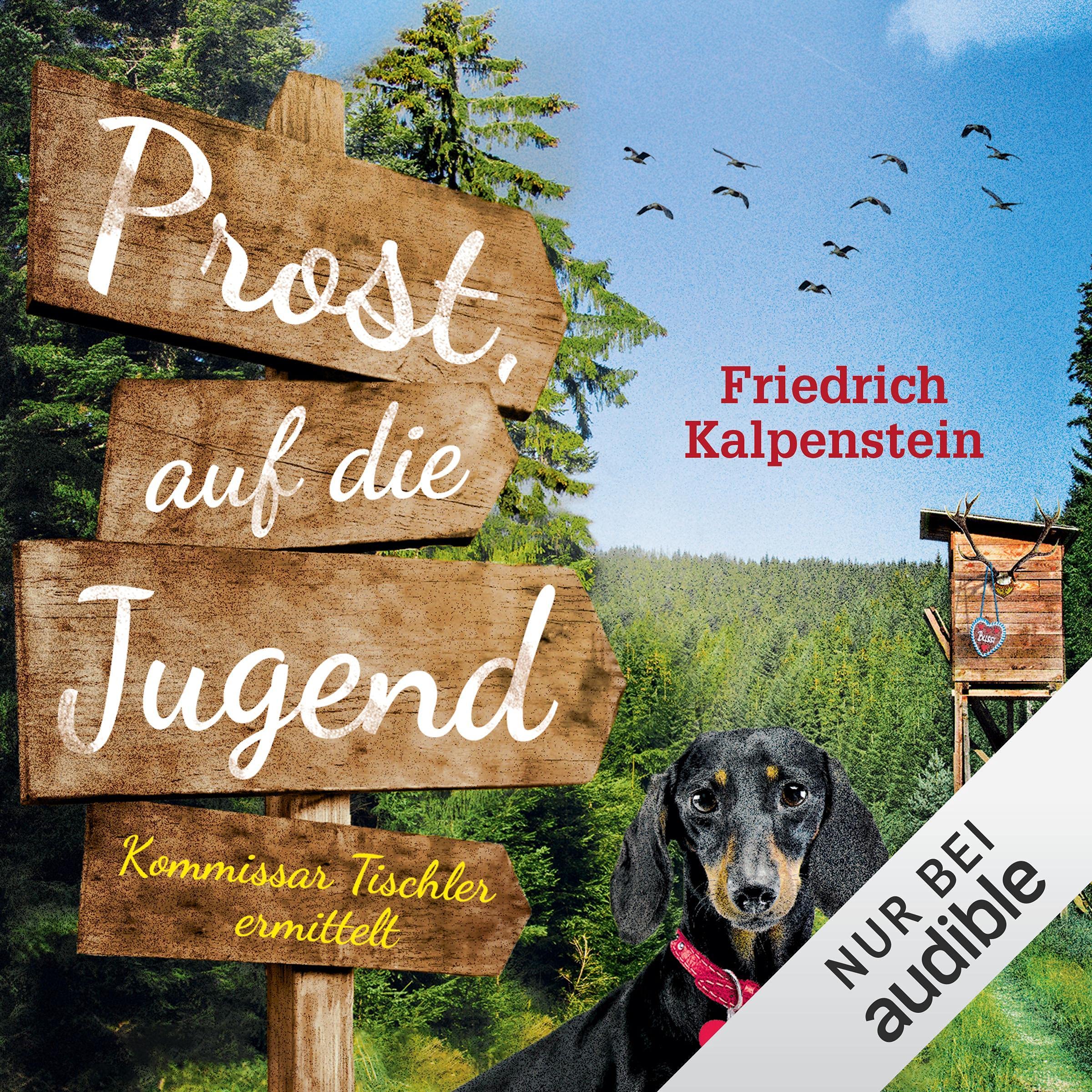 Cover art for Prost, auf die Jugend