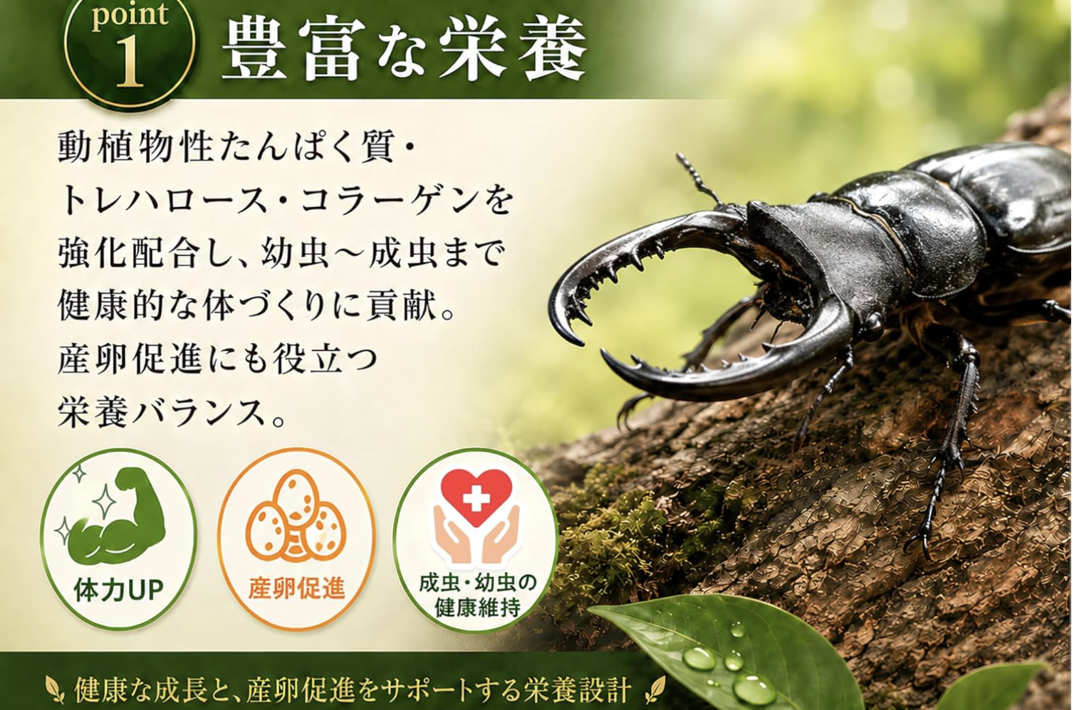 昆虫ゼリー　高栄養★ドルクスゼリー1000個★最安値２ケース Amazon | フジコン 高タンパク乳酸ドルクスゼリー 昆虫ゼリー クワガタ