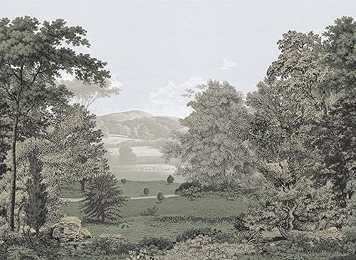 Erin & Ben Co. PSW1456M - Mural de pared prémium para despegar y pegar, diseño de pastos panorámicos