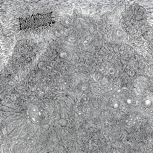 Xenoviscerum Xenoviscerum