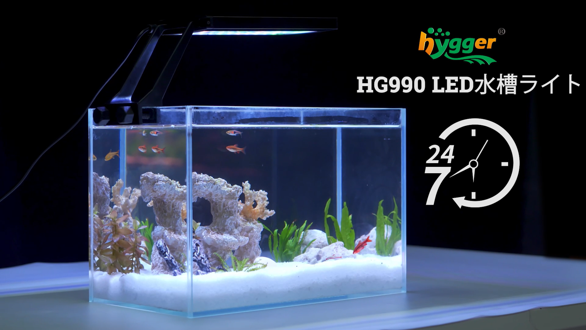 Amazon.co.jp: hygger 水槽ライト 水槽照明 LEDライト クリップオン