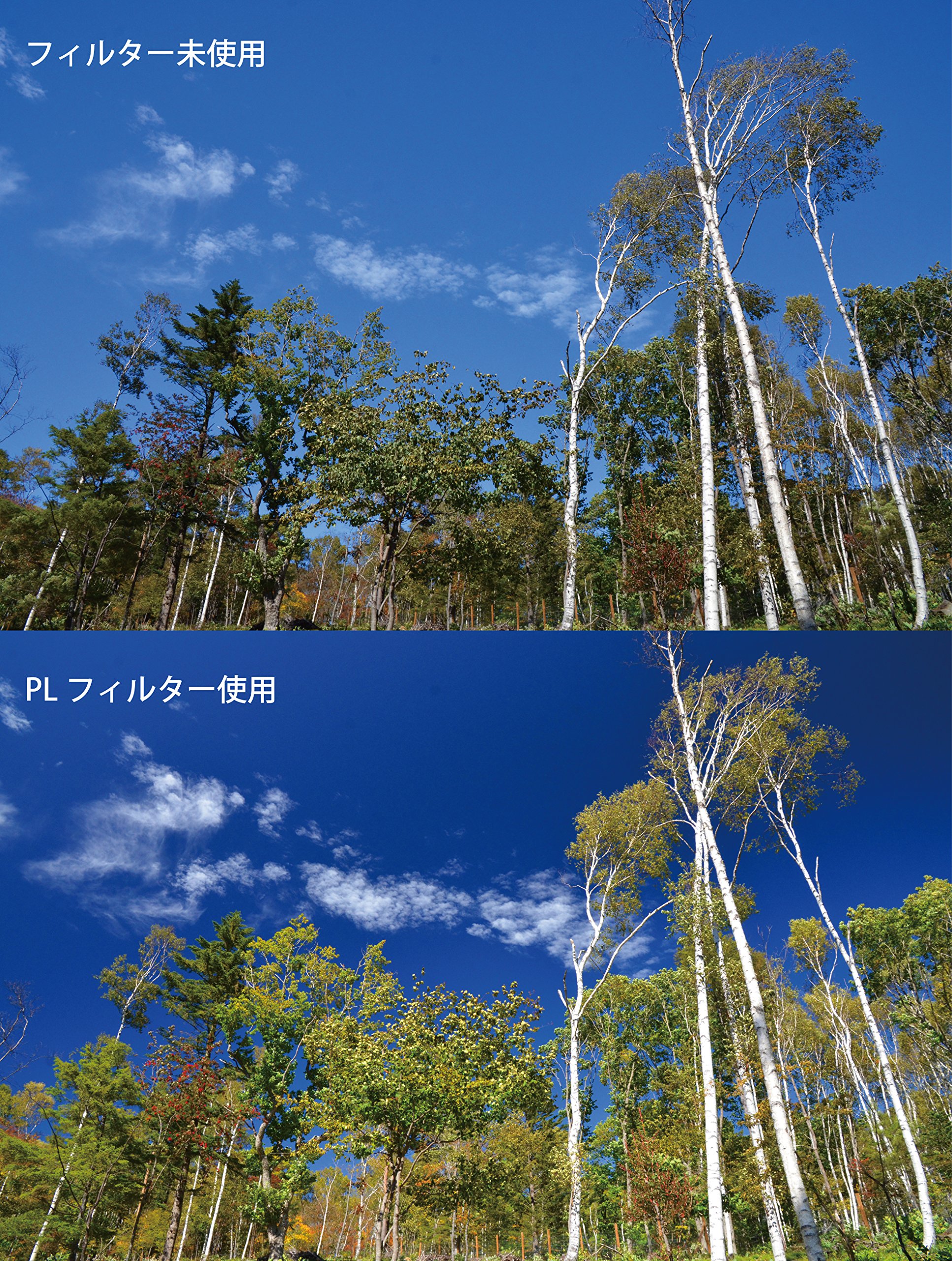 Amazon | Kenko PLフィルター PL(W) 49mm コントラスト・反射調整用 薄  