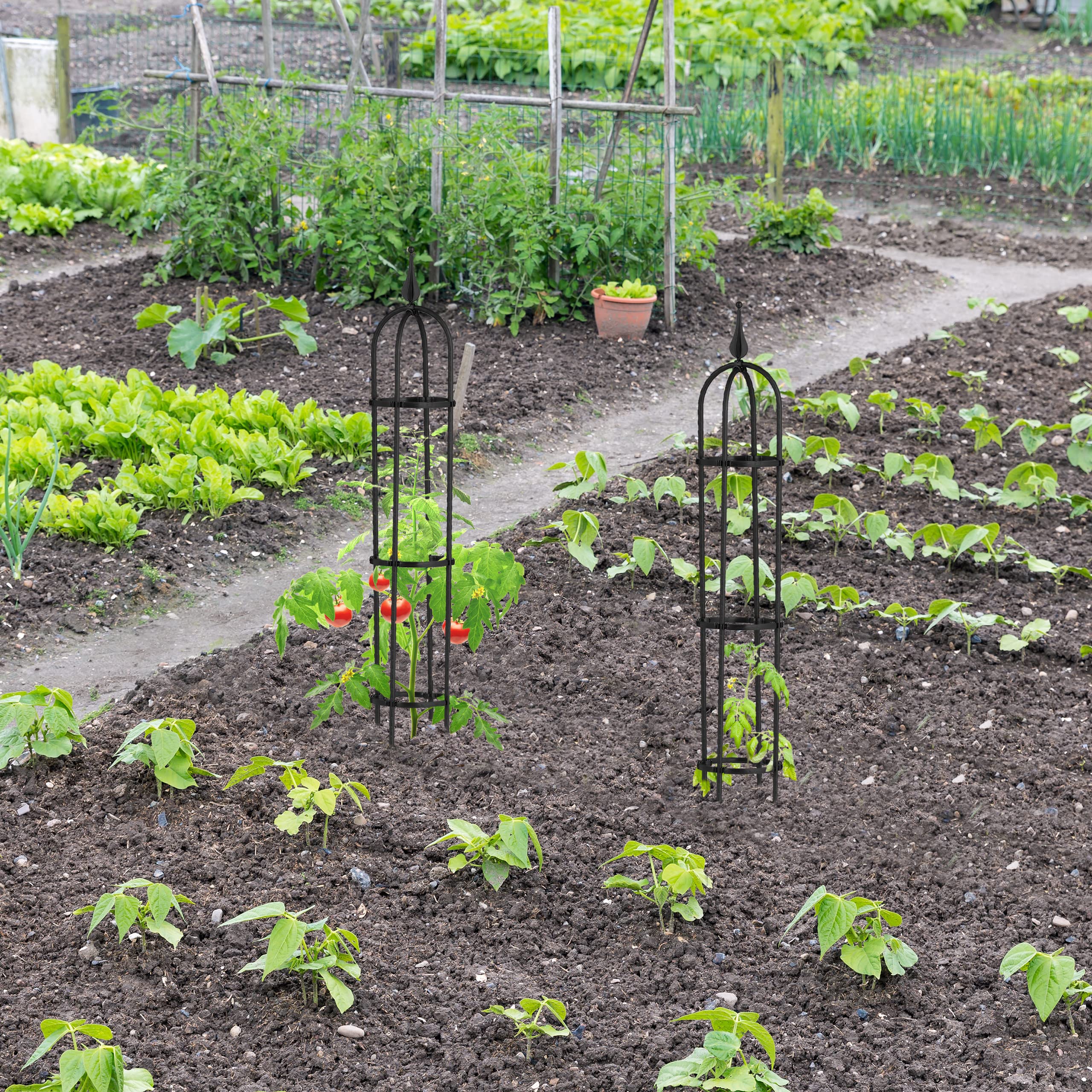 Plantensteun 190 cm HIER kopen