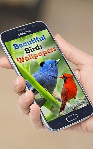 Beautiful Birds Wallpapers