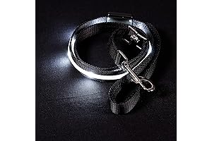BLAZIN' BISON BLAZIN Light Up Dog Leash: Unleash Nighttime Adventures with Unprecedented Visibility