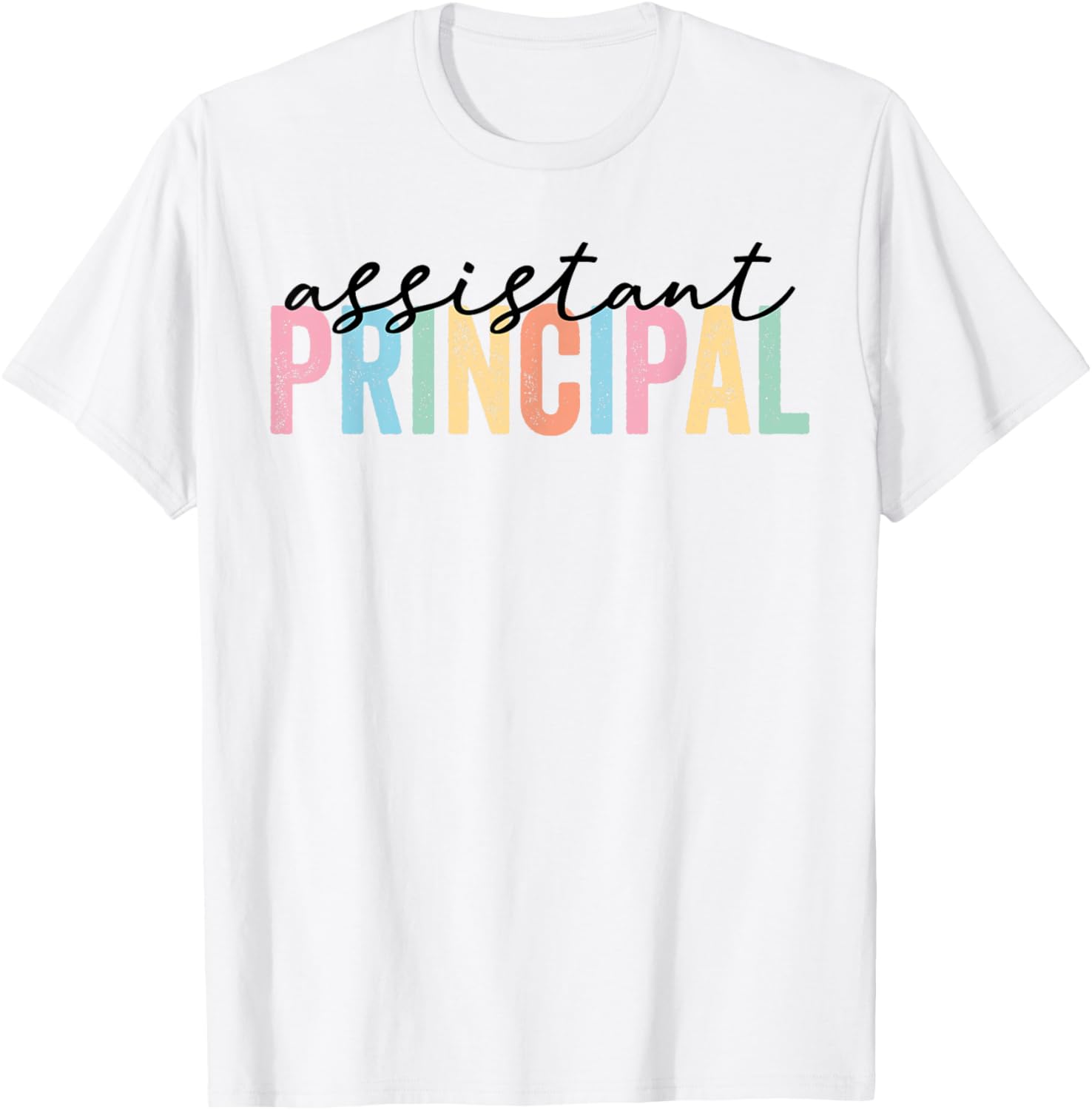 Assistant Principal Funny School Worker women Appreciation T-Shirt