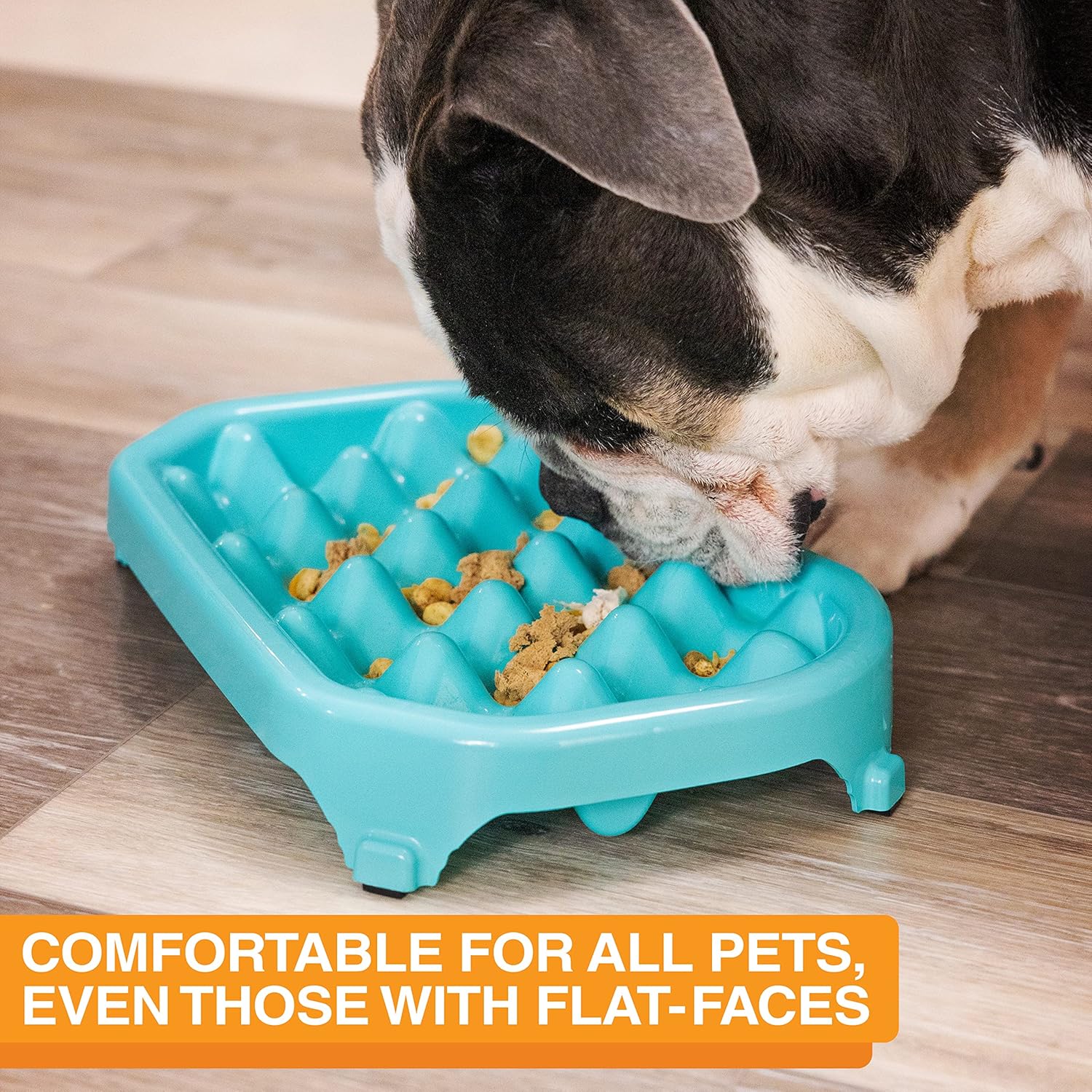 Aquamarine ABS Plastic Slow Feeder Dog Bowl for Large Breeds