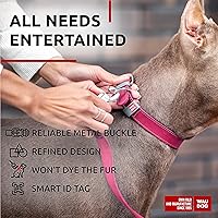 Vista 4 de WAUDOG Collar de cuero de larga duración para perros grandes, medianos y pequeños – Collares clásicos ajustables para cachorros de raza grande