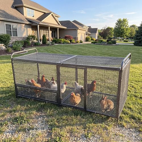 Sailret 63-inch galvanized metal outdoor quail-capable cage with top access panels