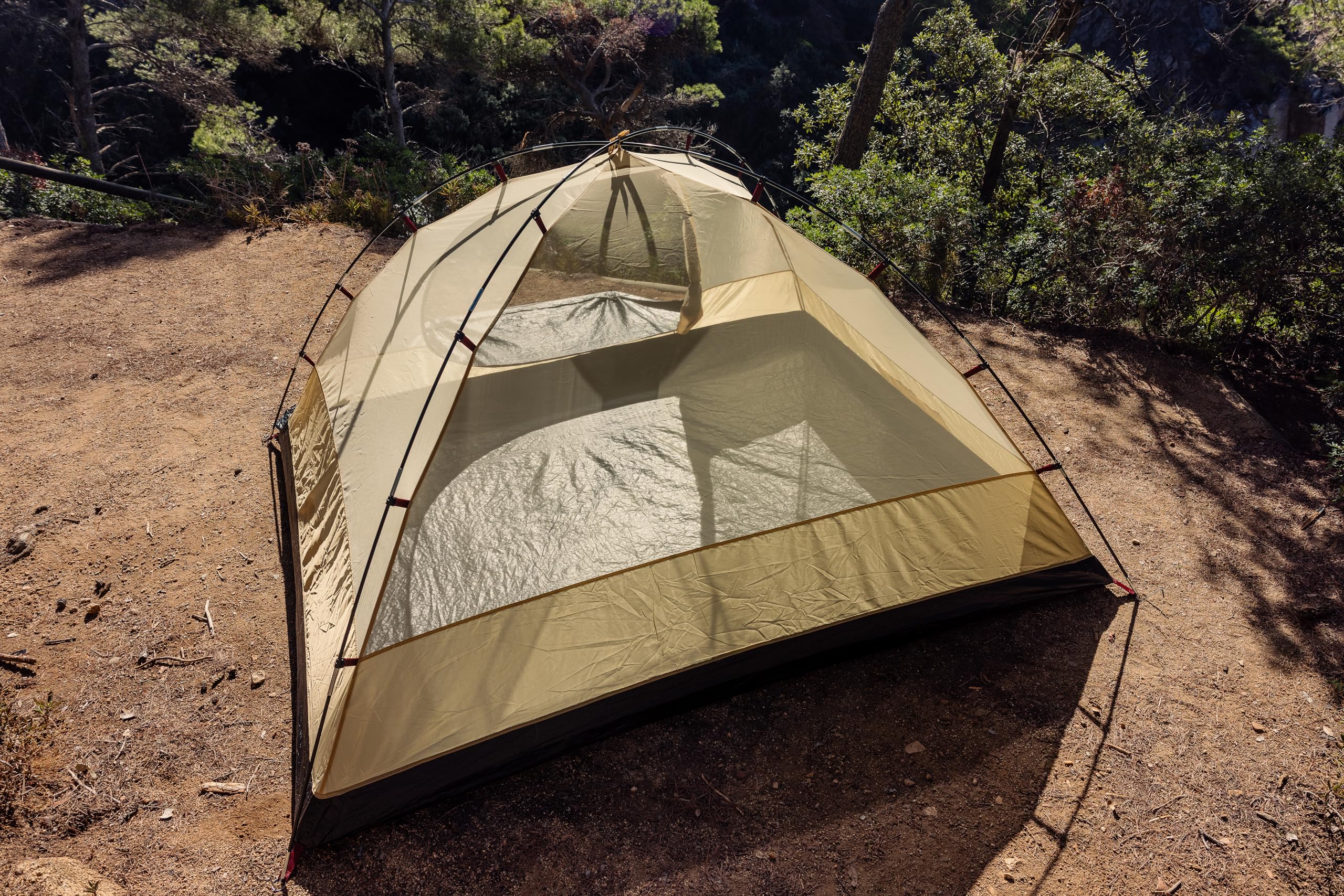 Coleman Tienda de campaña Darwin 4 Plus de Verano