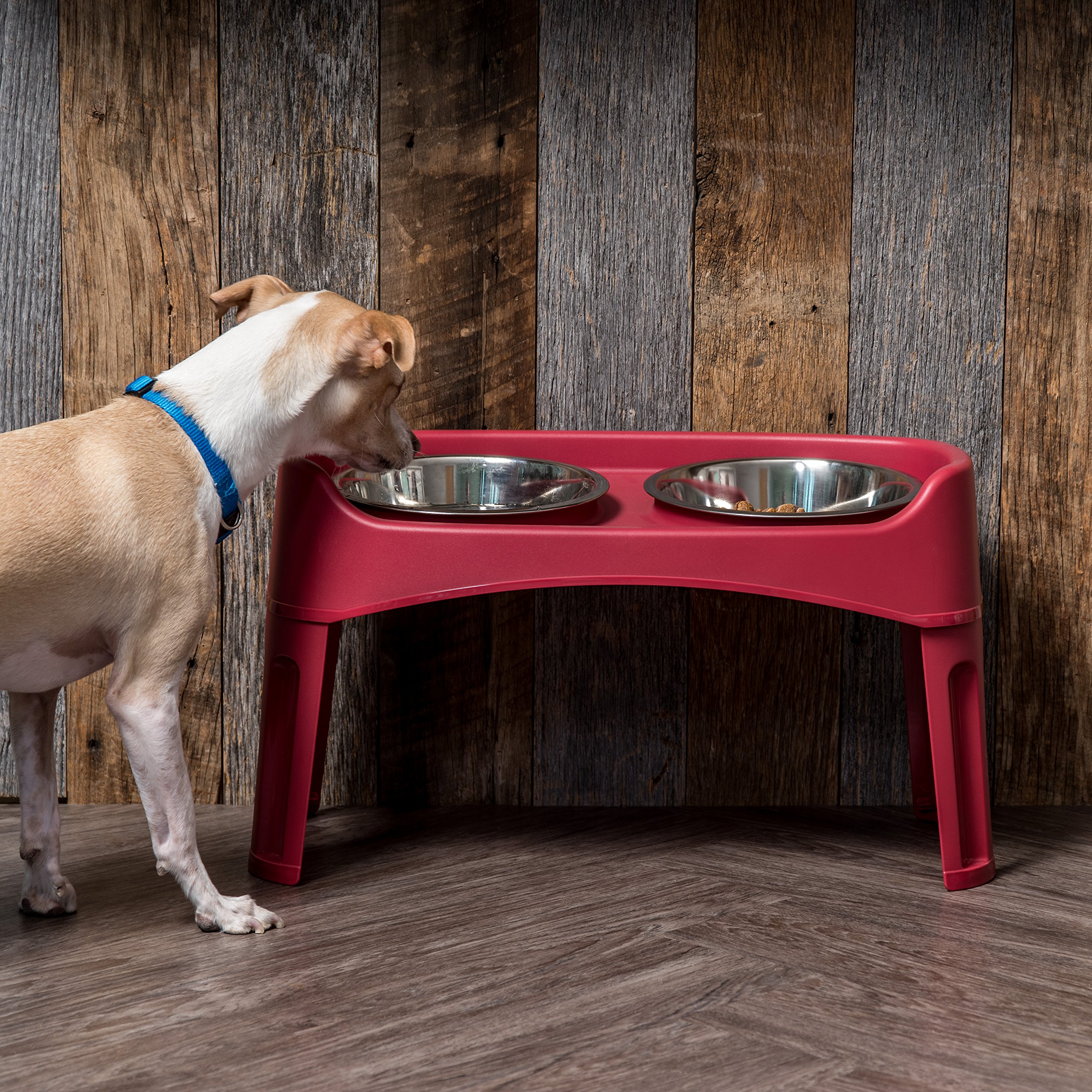 IRIS Gamelles surélevées pour Chien USA - Hauteur réglable - 2 gamelles épaisses en Acier Inoxydable de 1,8 l - Anti-déversement avec Bord extérieur surélevé - Fabriqué aux États-Unis - Plastique