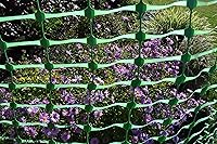 Vista 3 de Cerca verde de parte superior seca, 71450