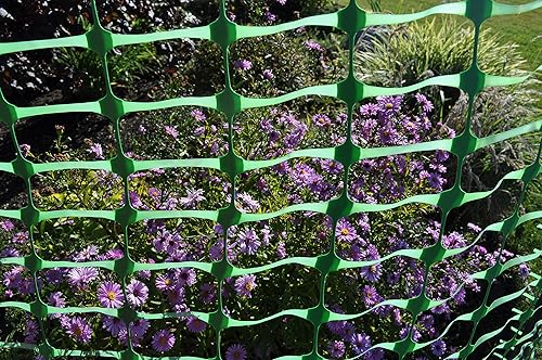 Miniatura 3 de Cerca verde de parte superior seca, 71450