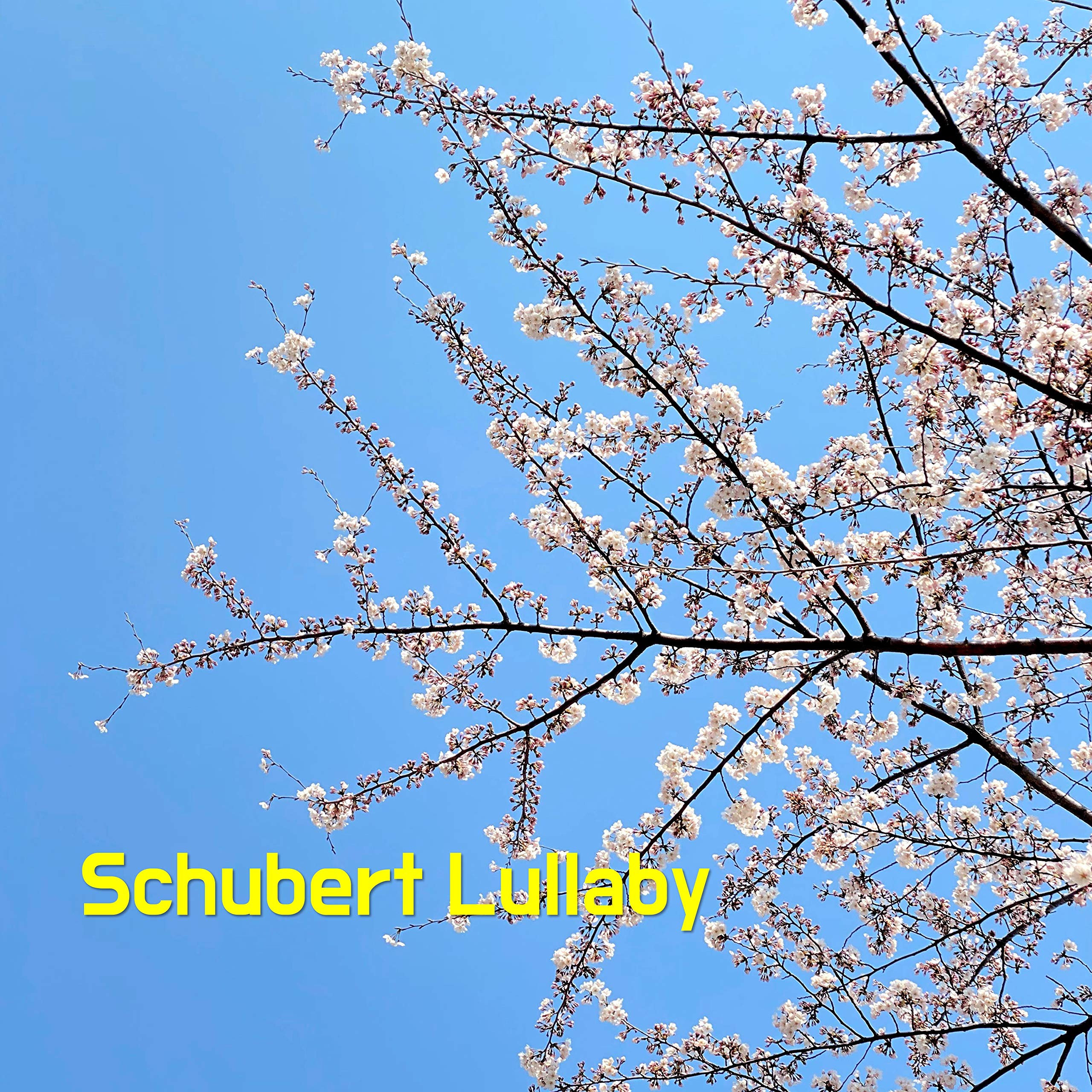 Schubert Lullaby