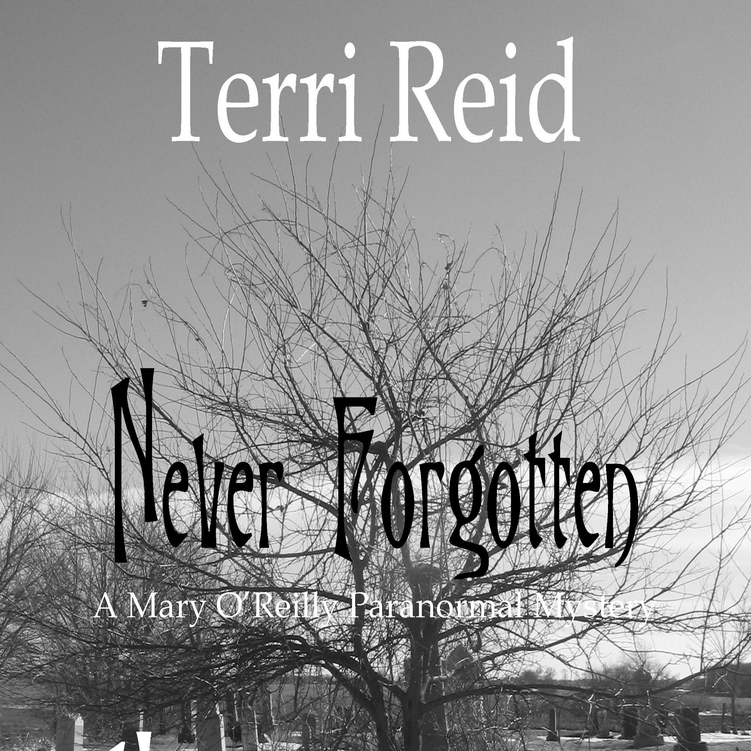 Cover art for Never Forgotten