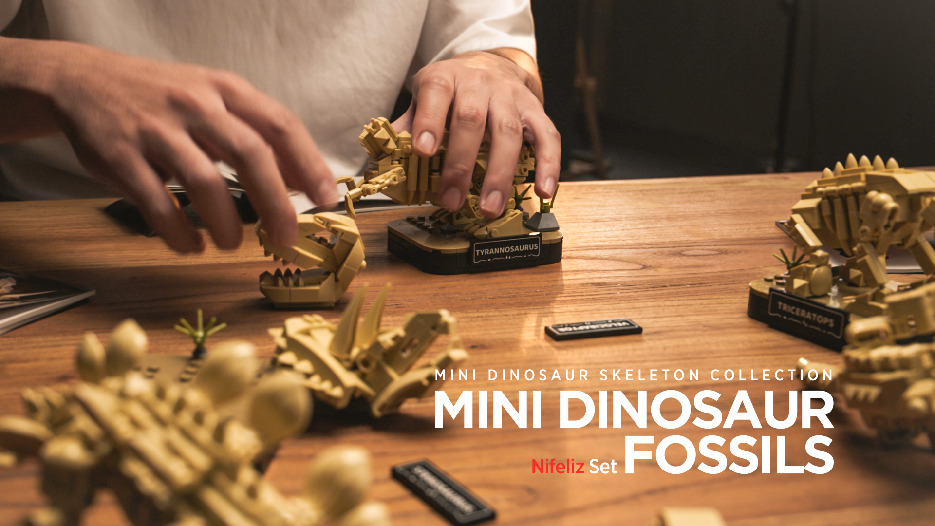 Amazon.com: Nifeliz Mini Dinosaur Skeleton Collection, 4 Dinosaur