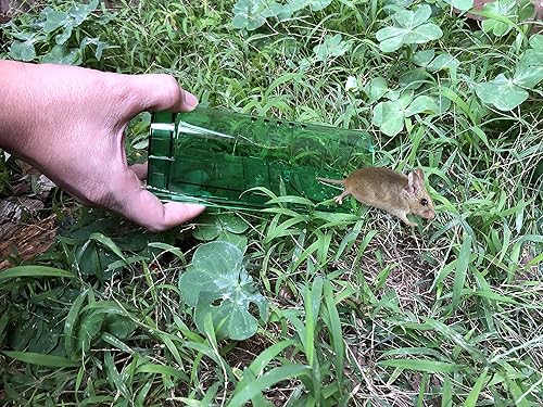 Miniatura 7 de Trampa humana para ratones  Trampas para ratones que funcionan  Las mejores trampas de plástico para ratones, ratones y ratas atrapan y liberan